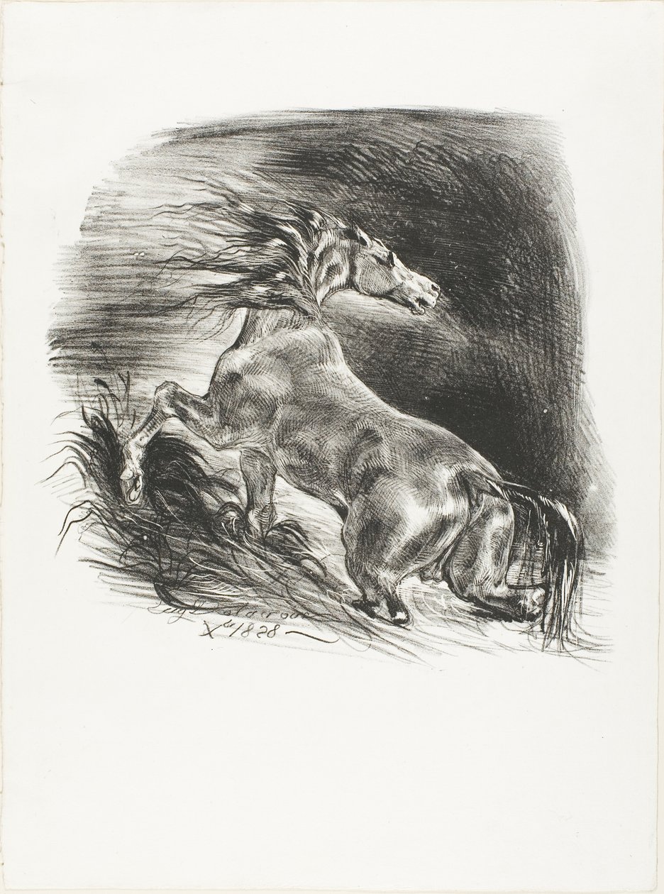 Vildhäst, eller skrämd häst som lämnar vattnet av Eugène Delacroix