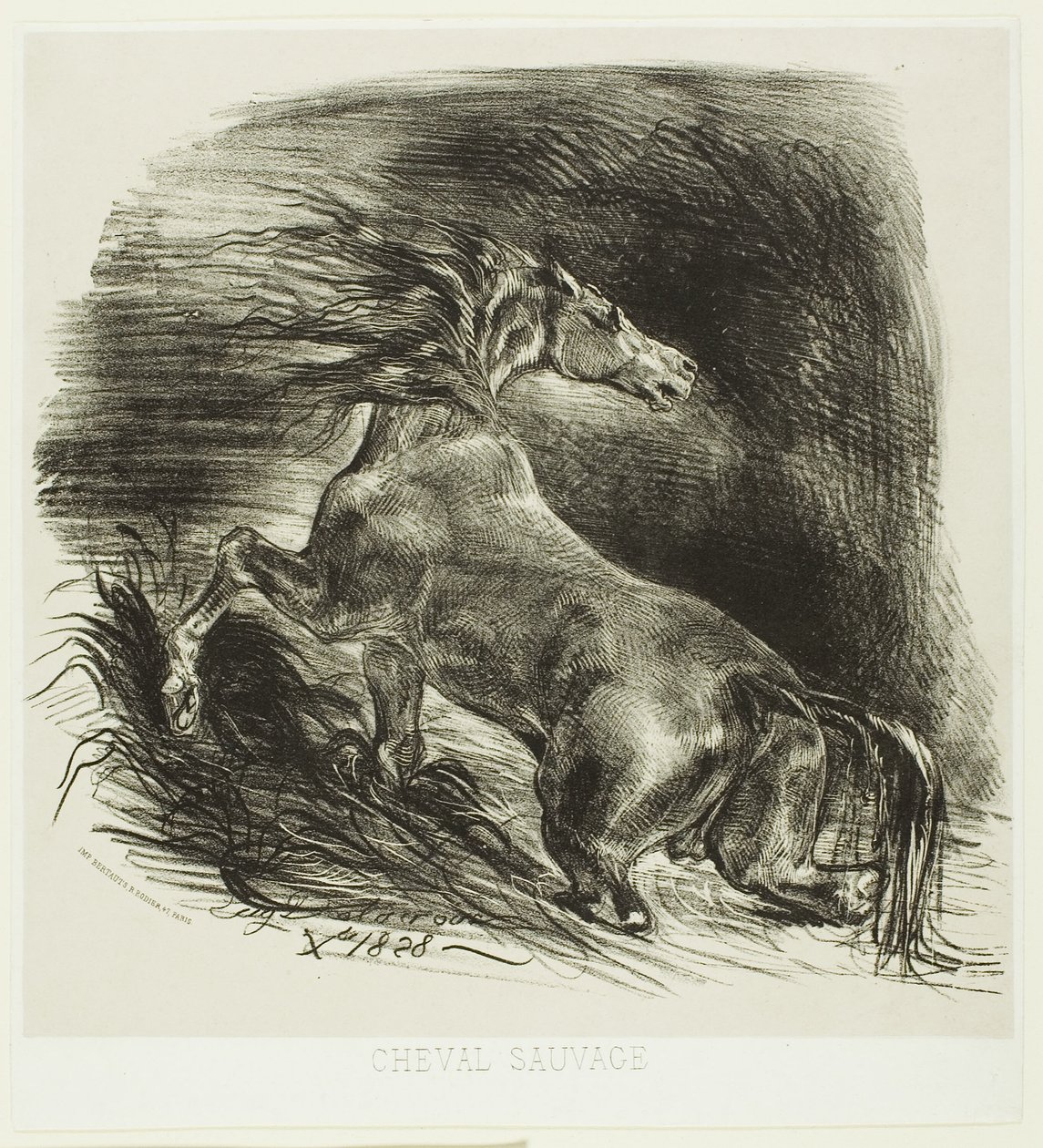 Vild häst eller skrämd häst som lämnar vattnet av Eugène Delacroix