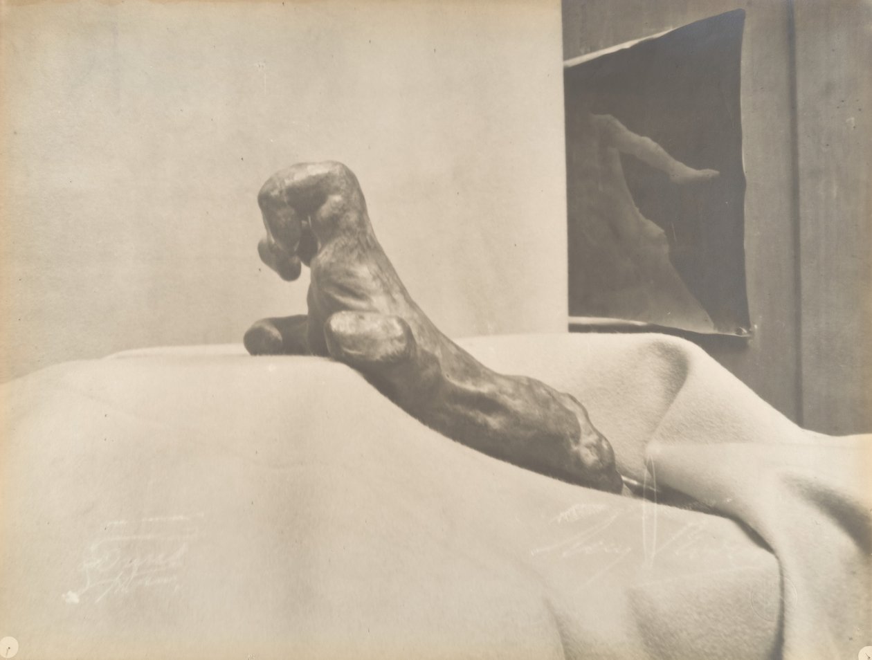 [Auguste Rodins The Clenched Hand], före 1898. av Eugène Druet