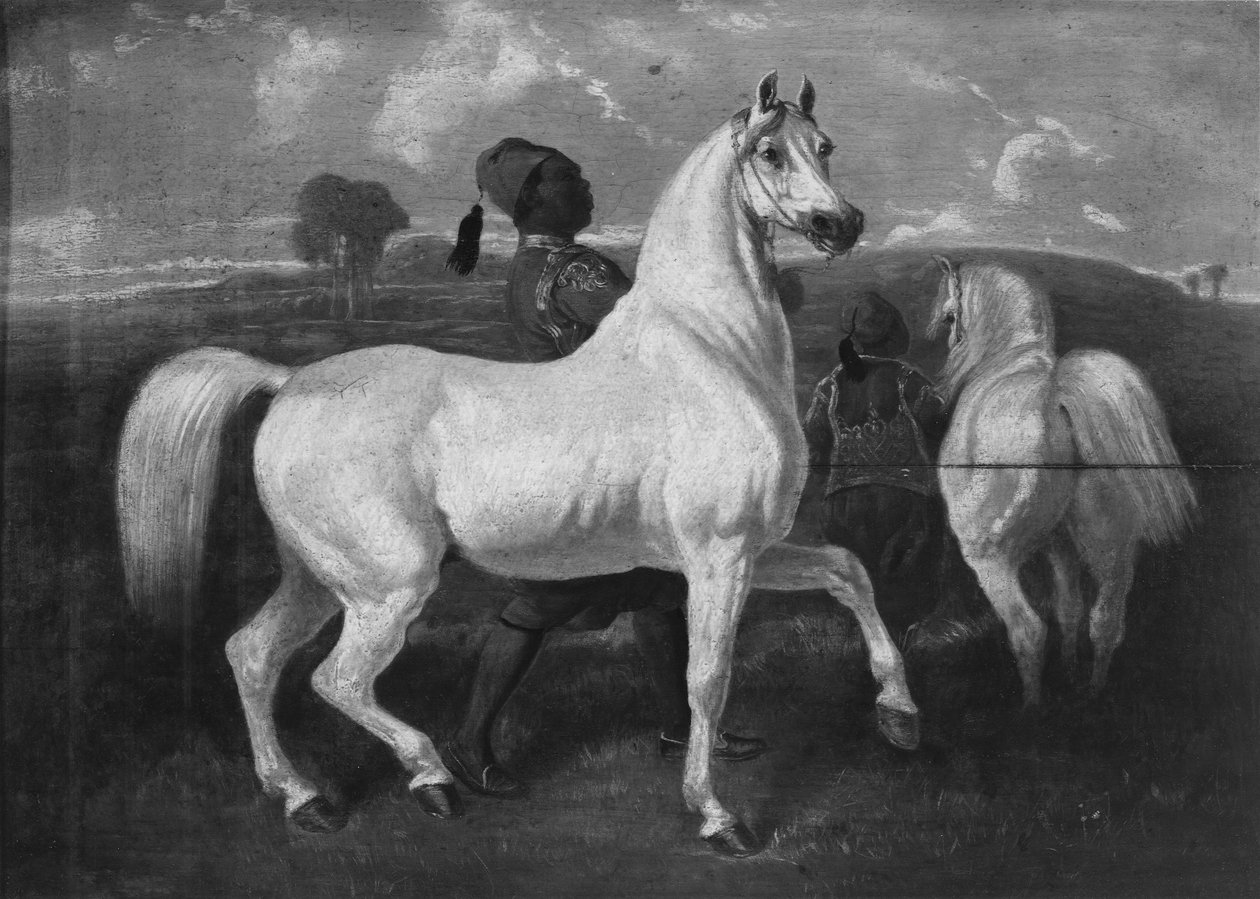 Arabiska hästar, 1800-talet av Eugène Fromentin