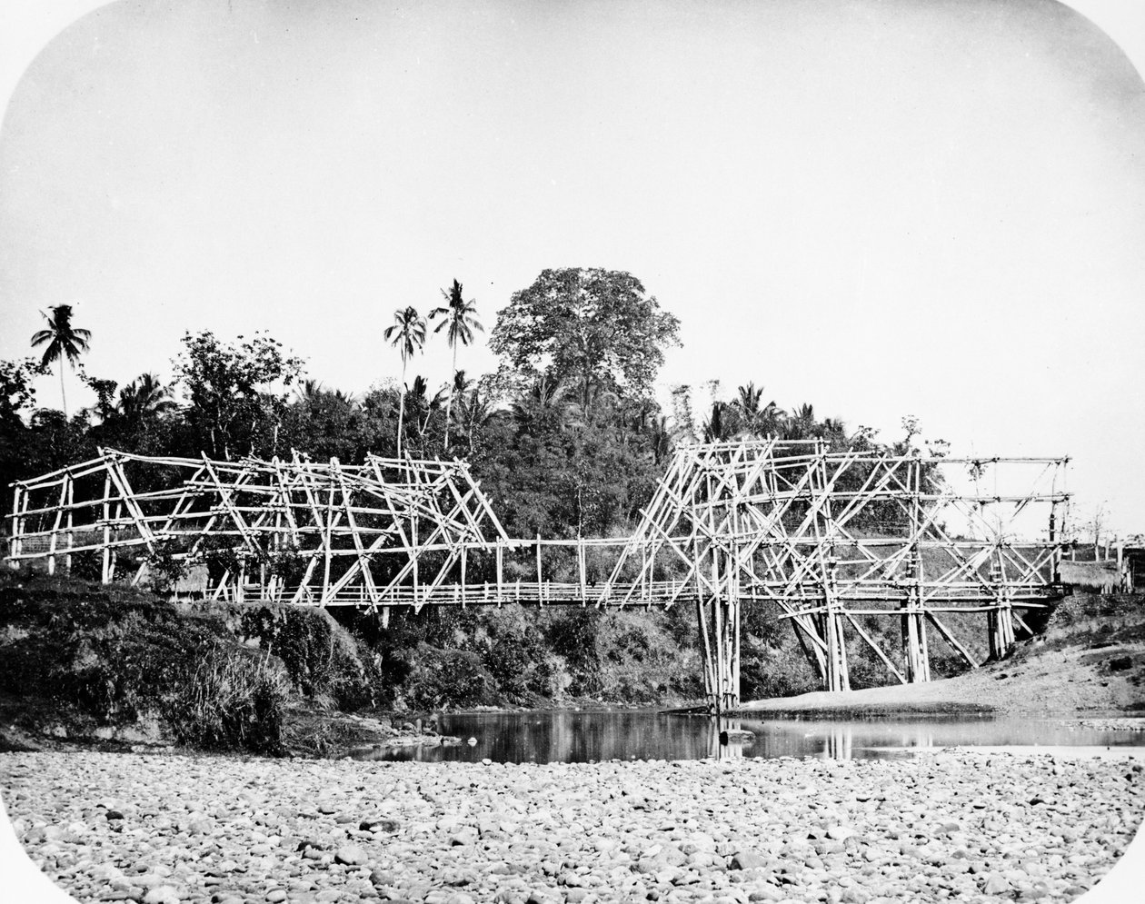 Bamboo Suspension Bridge, Java ca 1870-talet av European Photographer