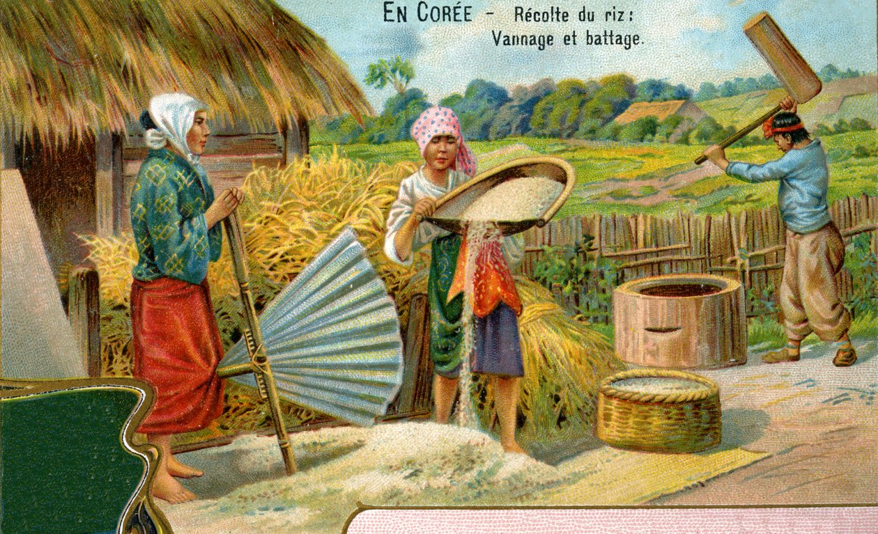 Risskörden i Korea, vinning och tröska, 1904 av European School