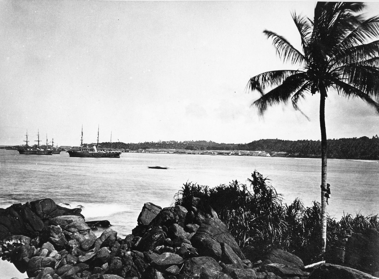 Colombo hamn, ca 1860-80 av European Photographer