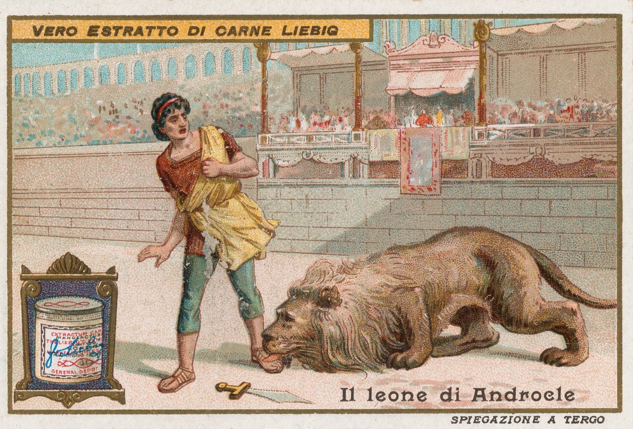Androkles och lejonet av European School