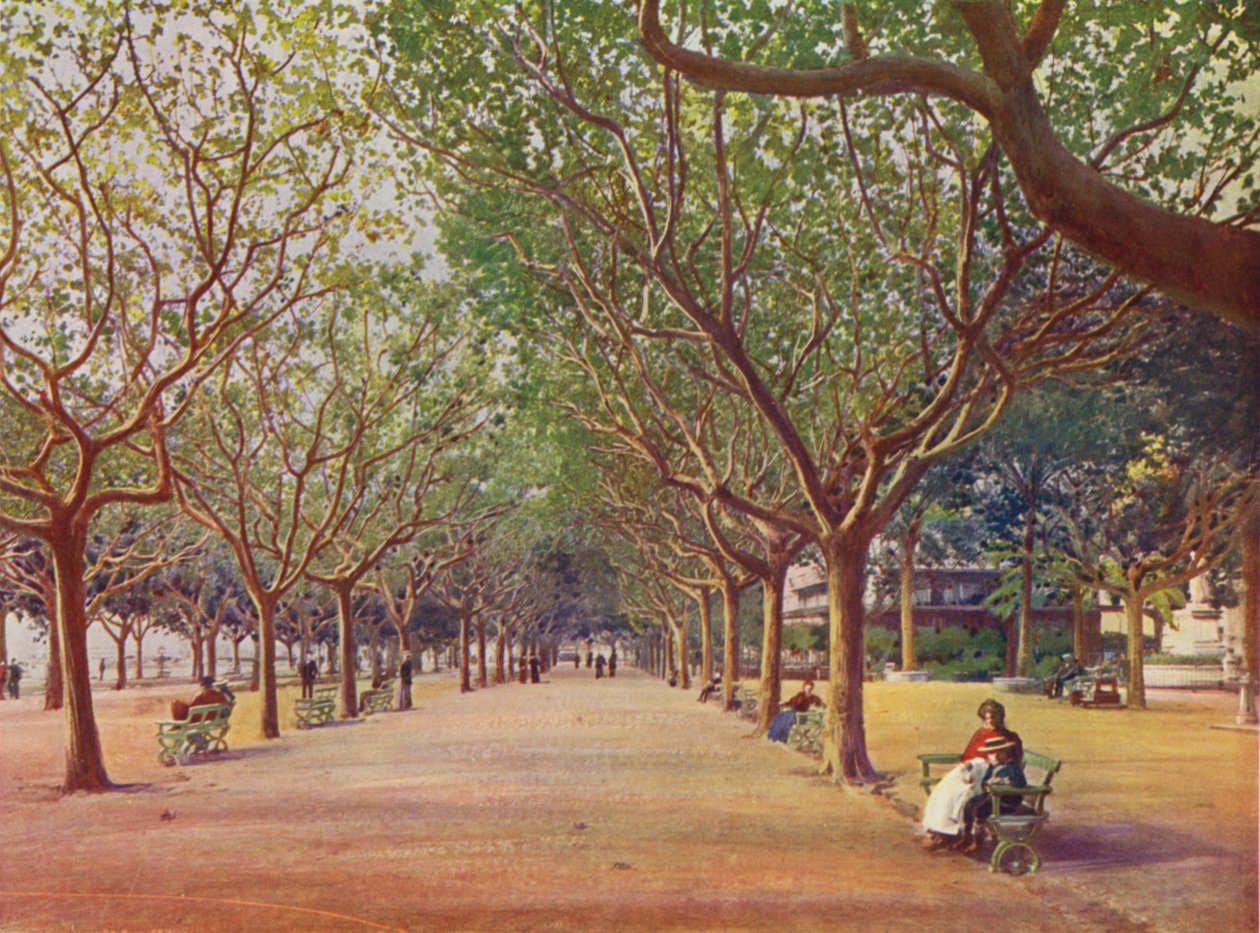 Cannes, Les Allees (färglitografi) av European School