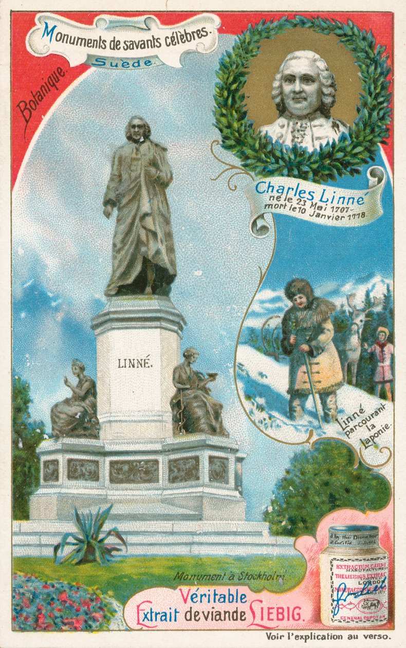 Carl von Linné, Liebig-kort, tidigt 1900-tal (chromo) av European School
