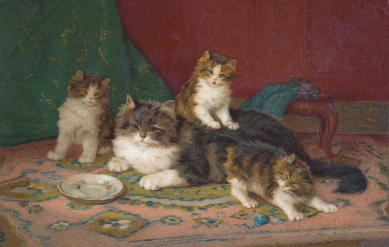 Vykort med katt (färglitografi) av European School