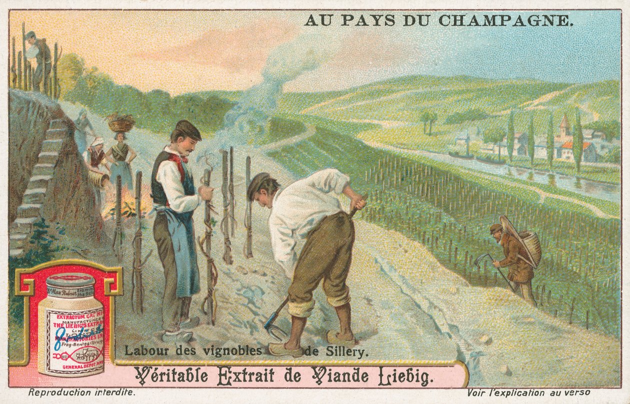 Champagne, Liebig-kort, början av 1900-talet (chromo) av European School