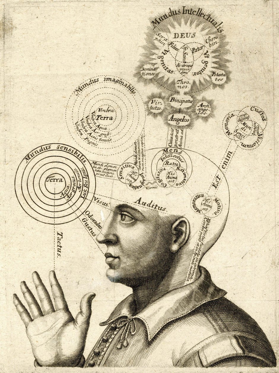 Diagram över människans tänkande och de fyra sinnena, ca 1650 (gravyr) av European School