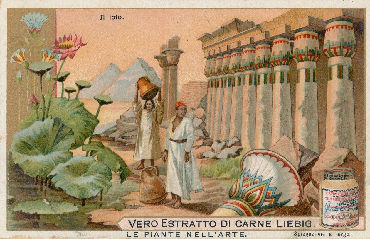 Växter i konsten, Liebig-kort, tidigt 1900-tal (chromo) av European School