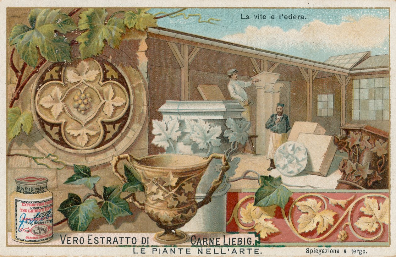 Växter i konsten, Liebig-kort, tidigt 1900-tal (chromo) av European School