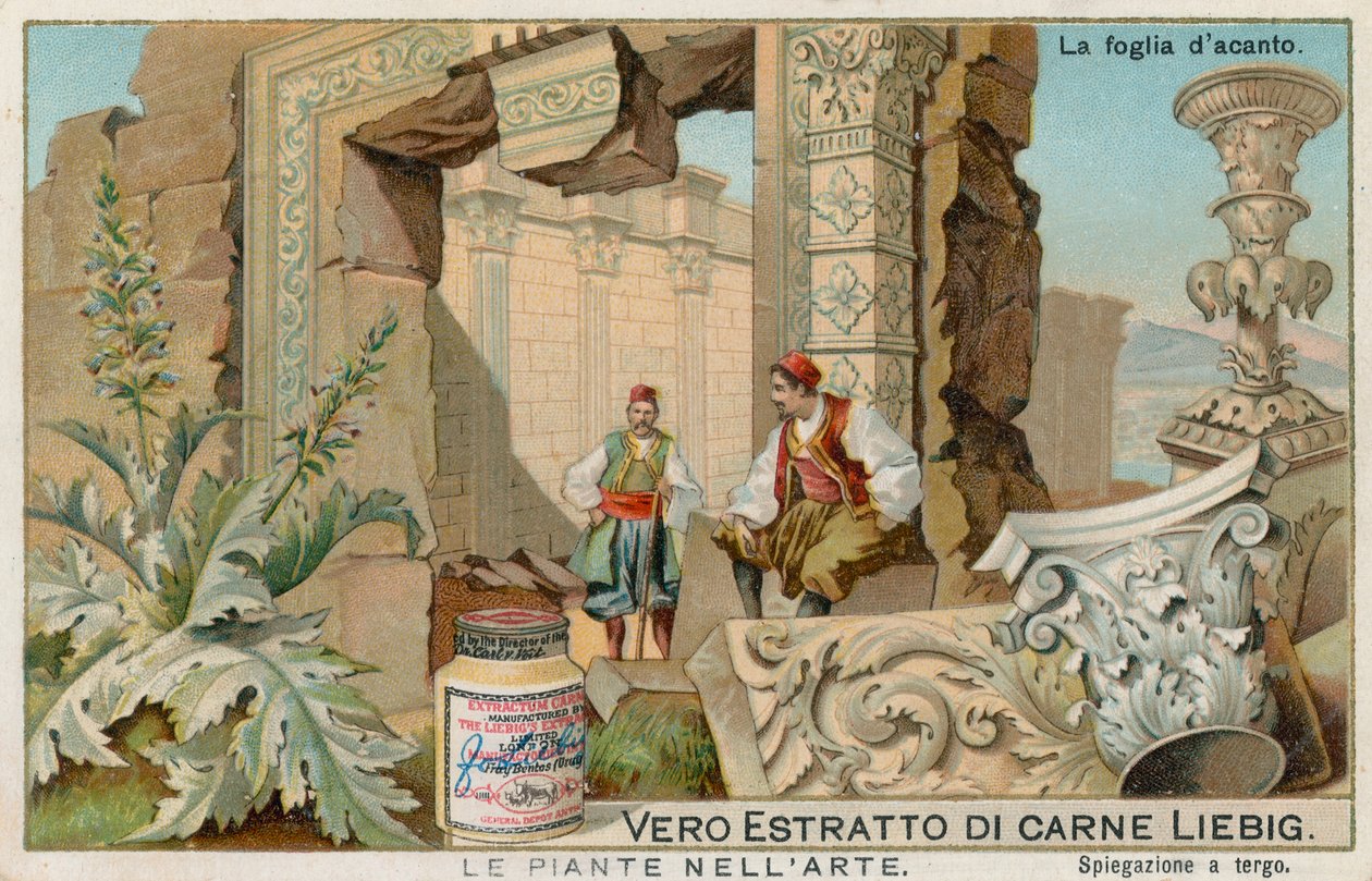 Växter i konsten, Liebig-kort, tidigt 1900-tal (chromo) av European School