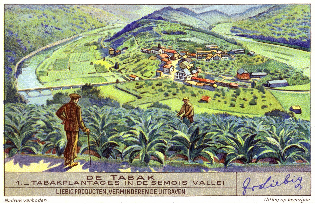 Tobaksodling i Semois-dalen, Belgien (chromolitho) av European School