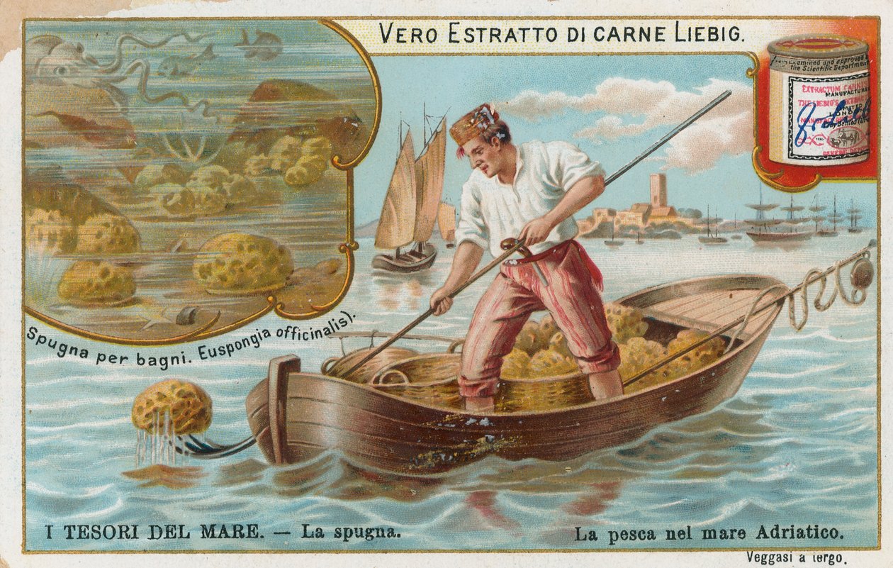Havets skatter, Liebig-kort, början av 1900-talet (chromo) av European School