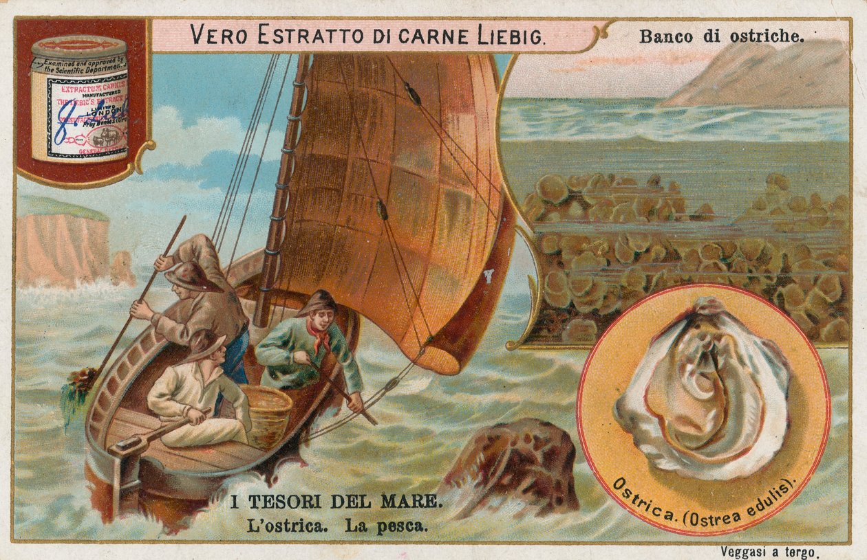 Havets skatter, Liebig-kort, början av 1900-talet (chromo) av European School