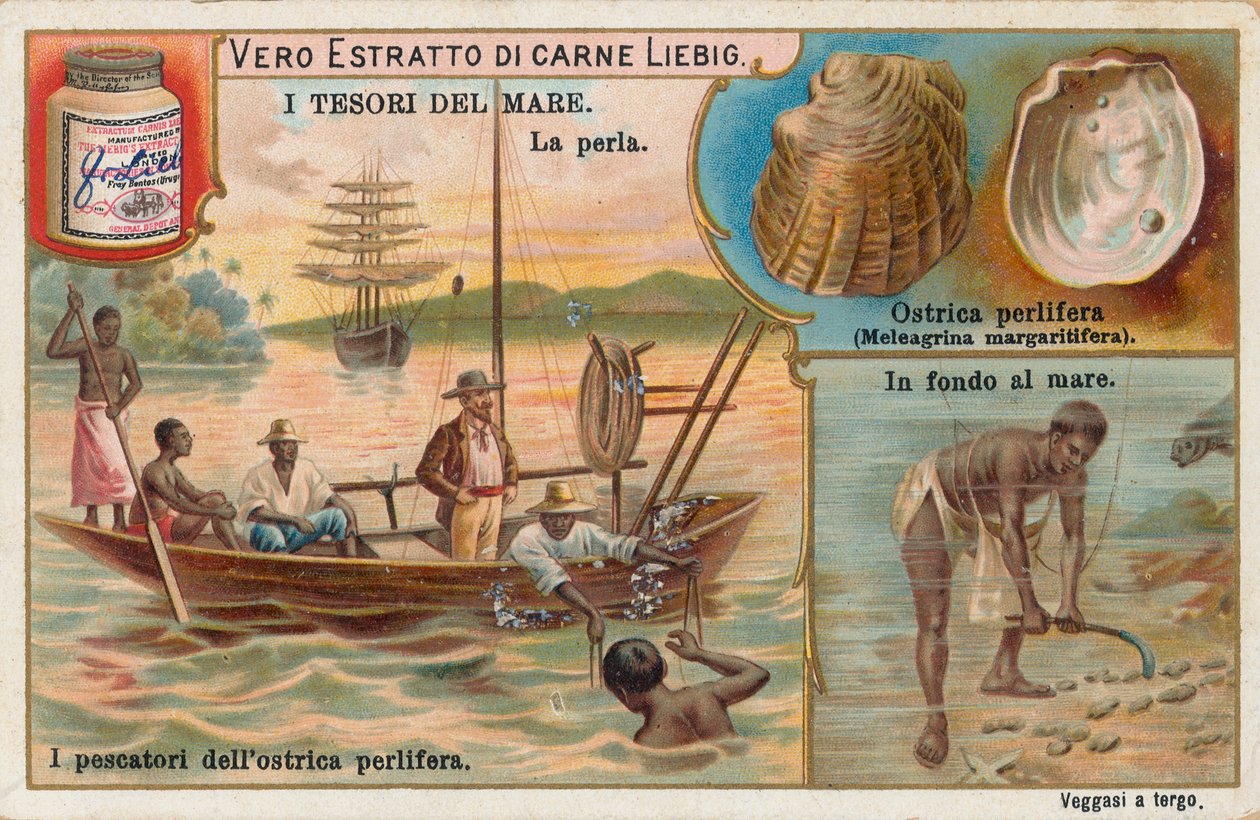 Havets skatter, Liebig-kort, början av 1900-talet (chromo) av European School