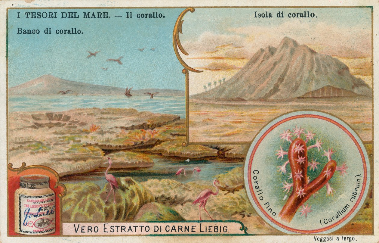 Havets skatter, Liebig-kort, början av 1900-talet (chromo) av European School