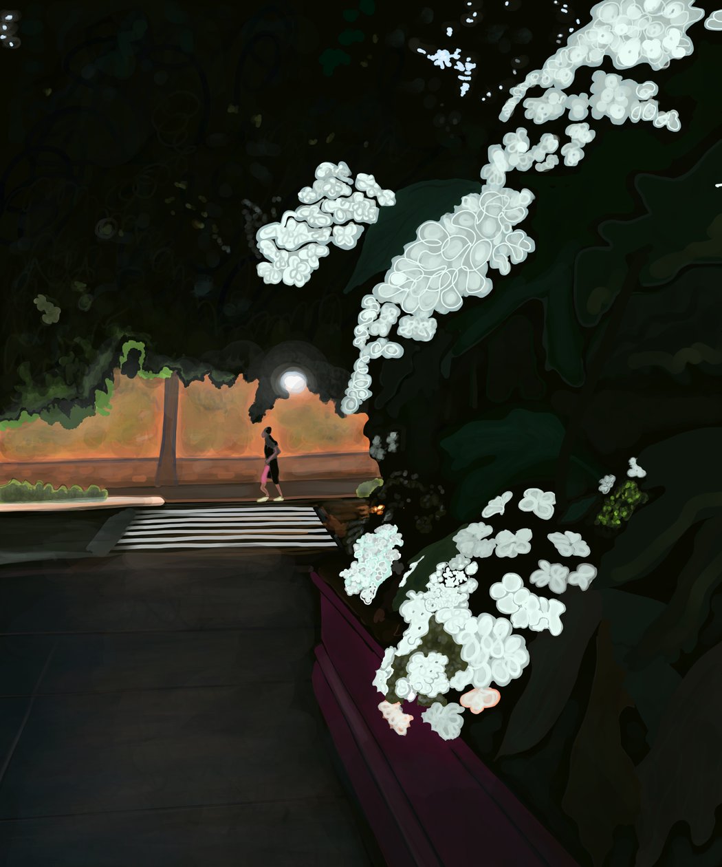 6 på morgonen. Regnig morgon och joggare. Prospect park west (digital konst) av Evan Sklar