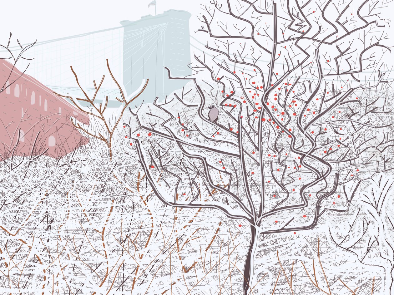 Fågel i snö, Brooklyn Bridge Park (digital konst) av Evan Sklar