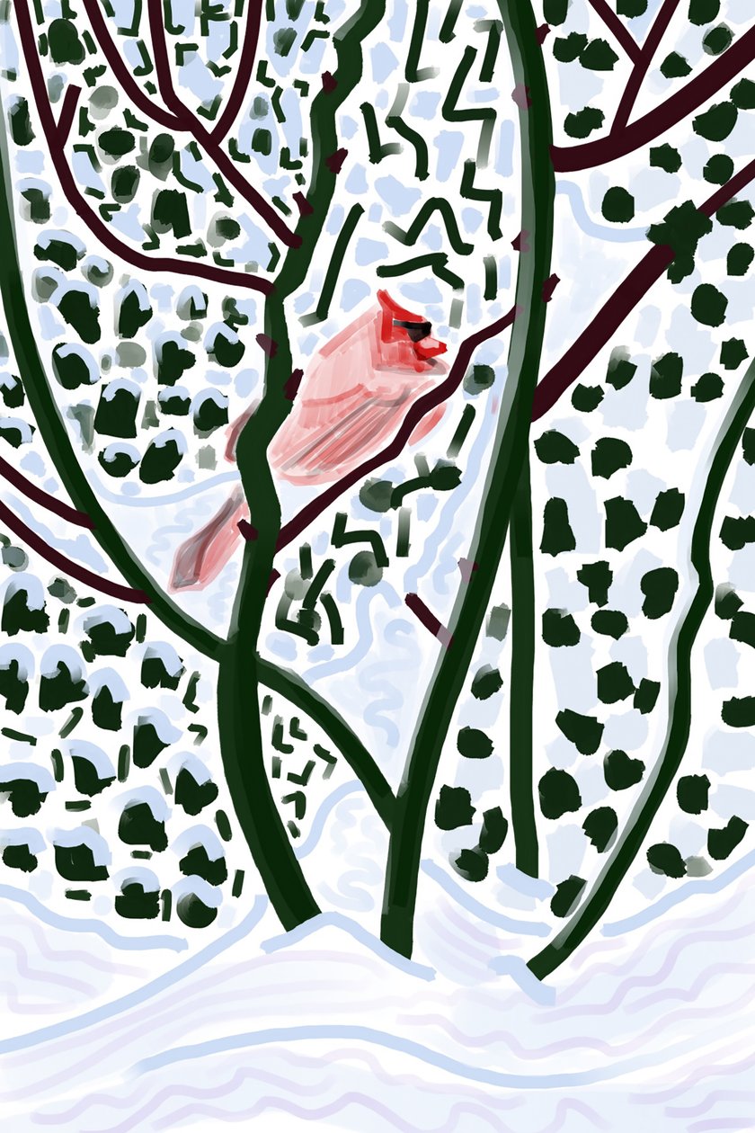 Kardinal i snö (digital konst) av Evan Sklar