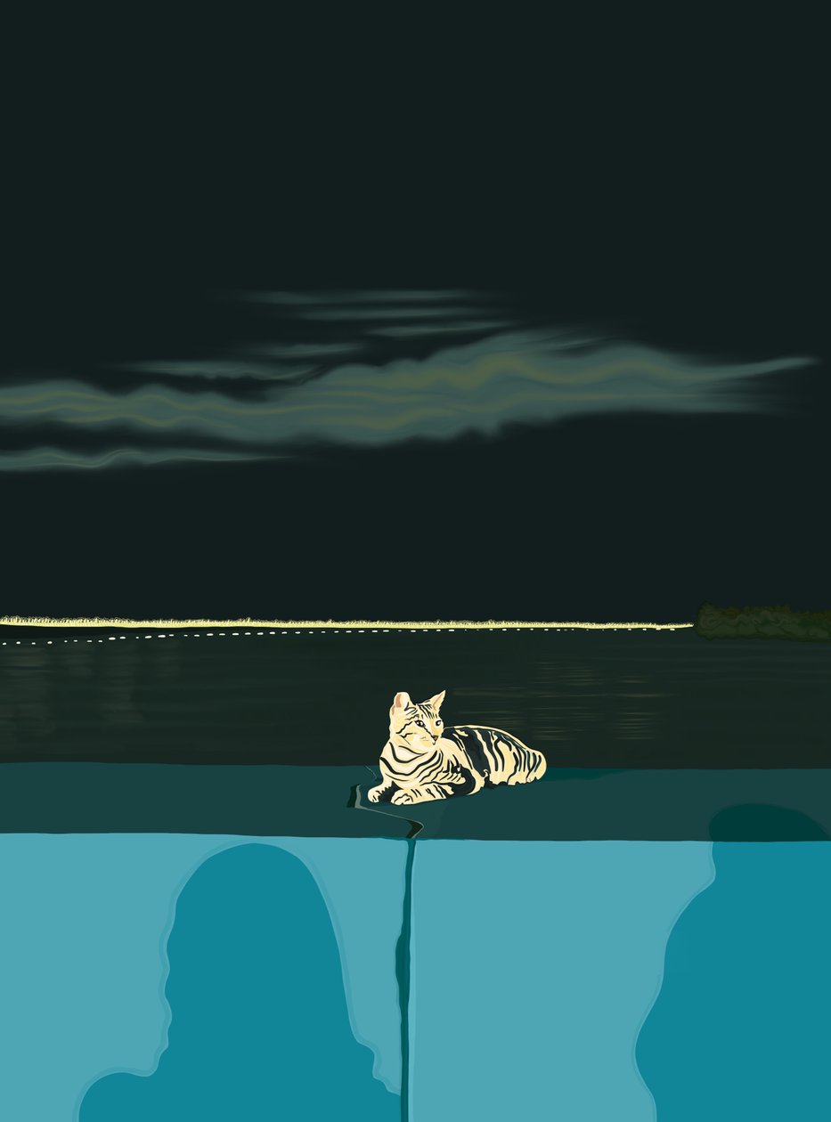 Katt på vägg, Panama City, ca 2020-24 (digital konst) av Evan Sklar