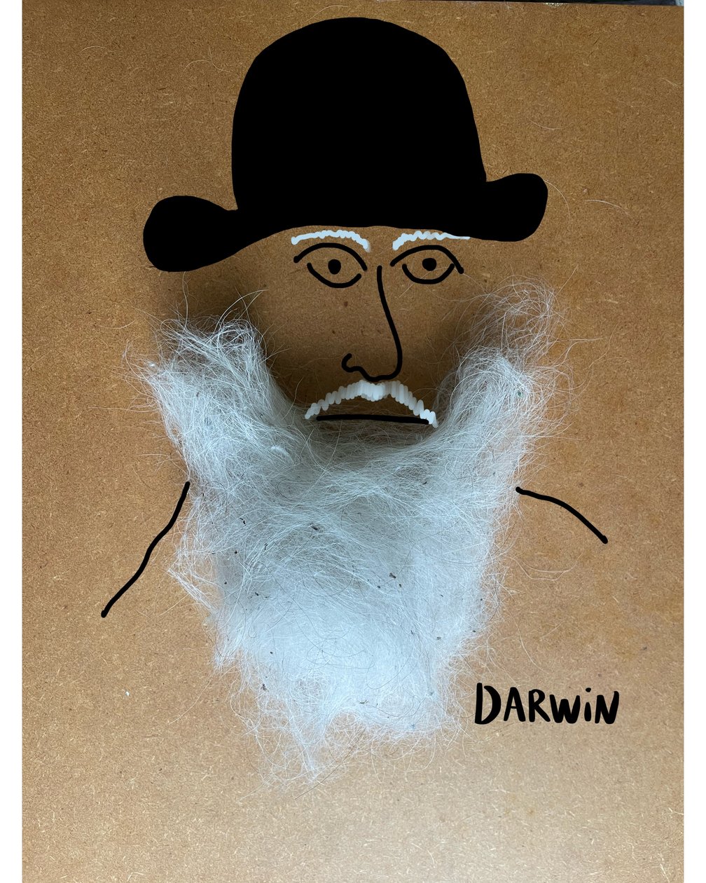 Charles Darwin av Evan Sklar
