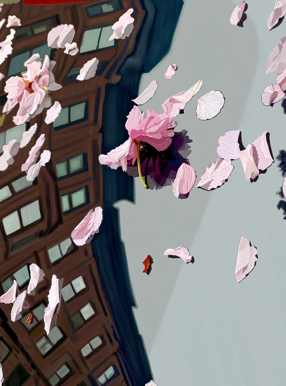 Körsbärsblommor blåser på bilens vindskydd (digital konst) av Evan Sklar