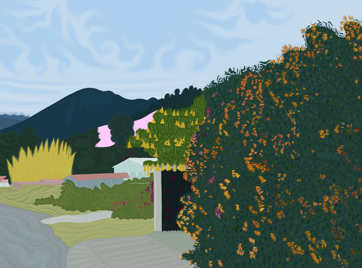 Chiriqui, Panama, ca 2020-24 (digital konst) av Evan Sklar