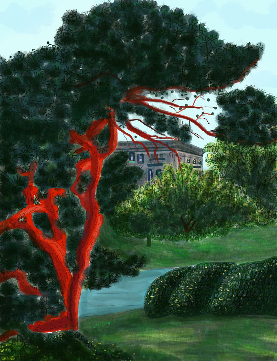 Barrträd vid Litchfield Villa, Prospect Park (digital konst) av Evan Sklar