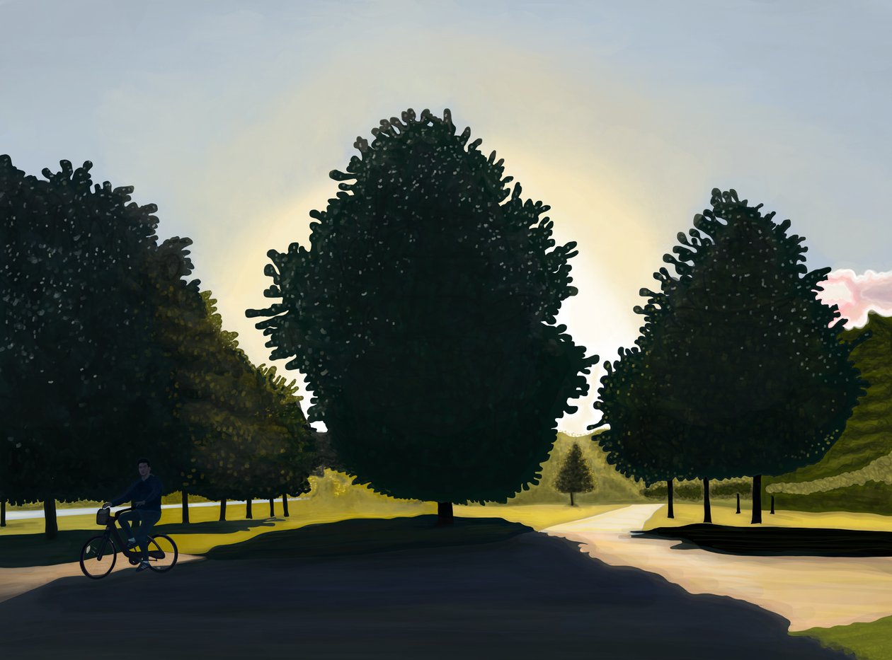 Cyklist, gryning, Hyde Park (digital konst) av Evan Sklar