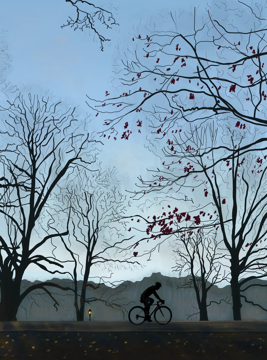 Cyklist, morgon, Prospect Park (digital konst) av Evan Sklar