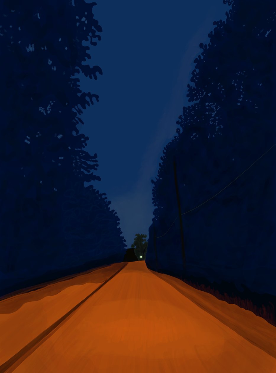 Dirt Road At Night, Brooklyn (digital konst) av Evan Sklar