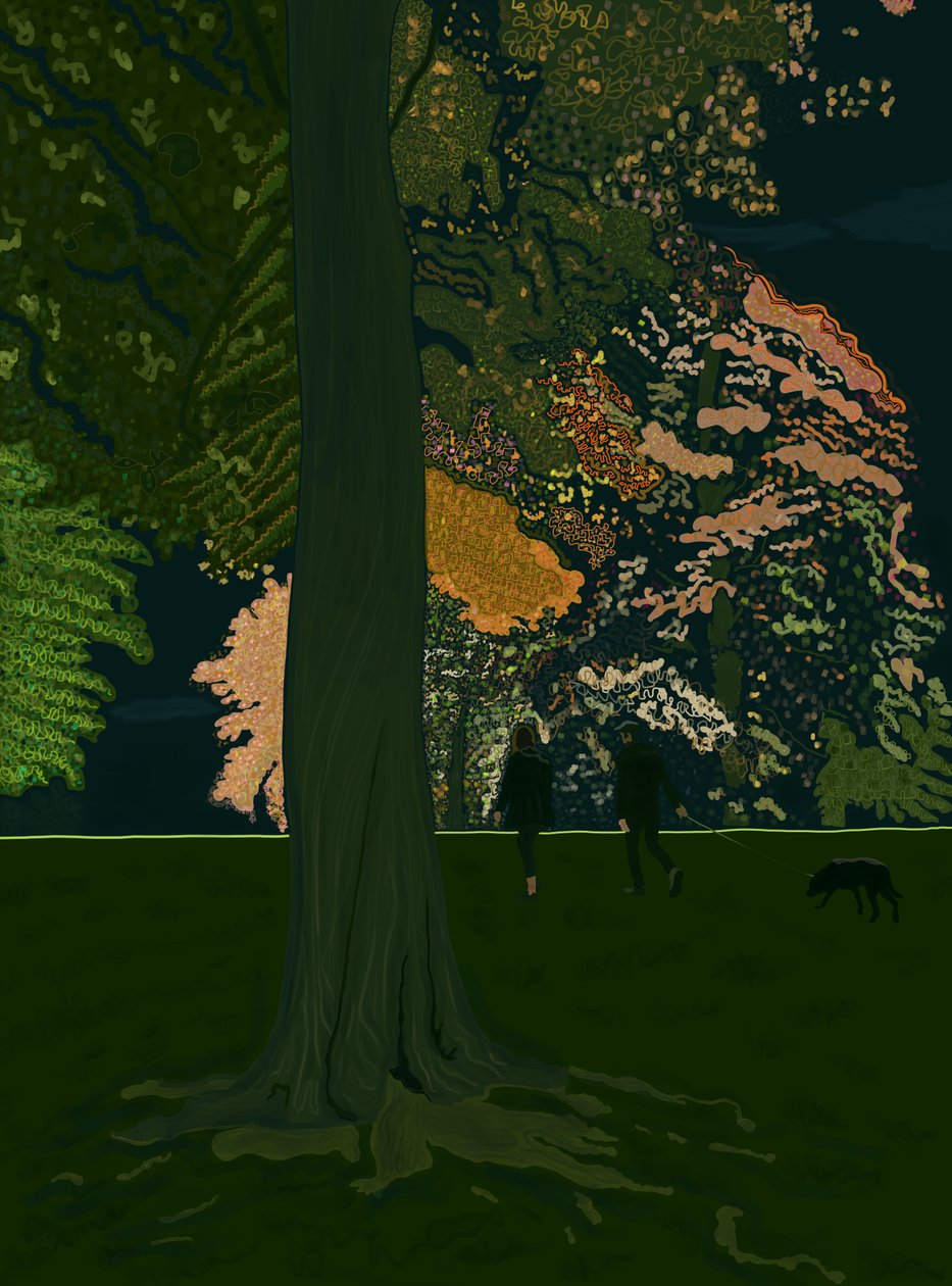 Dog Walk At Night (digital konst) av Evan Sklar