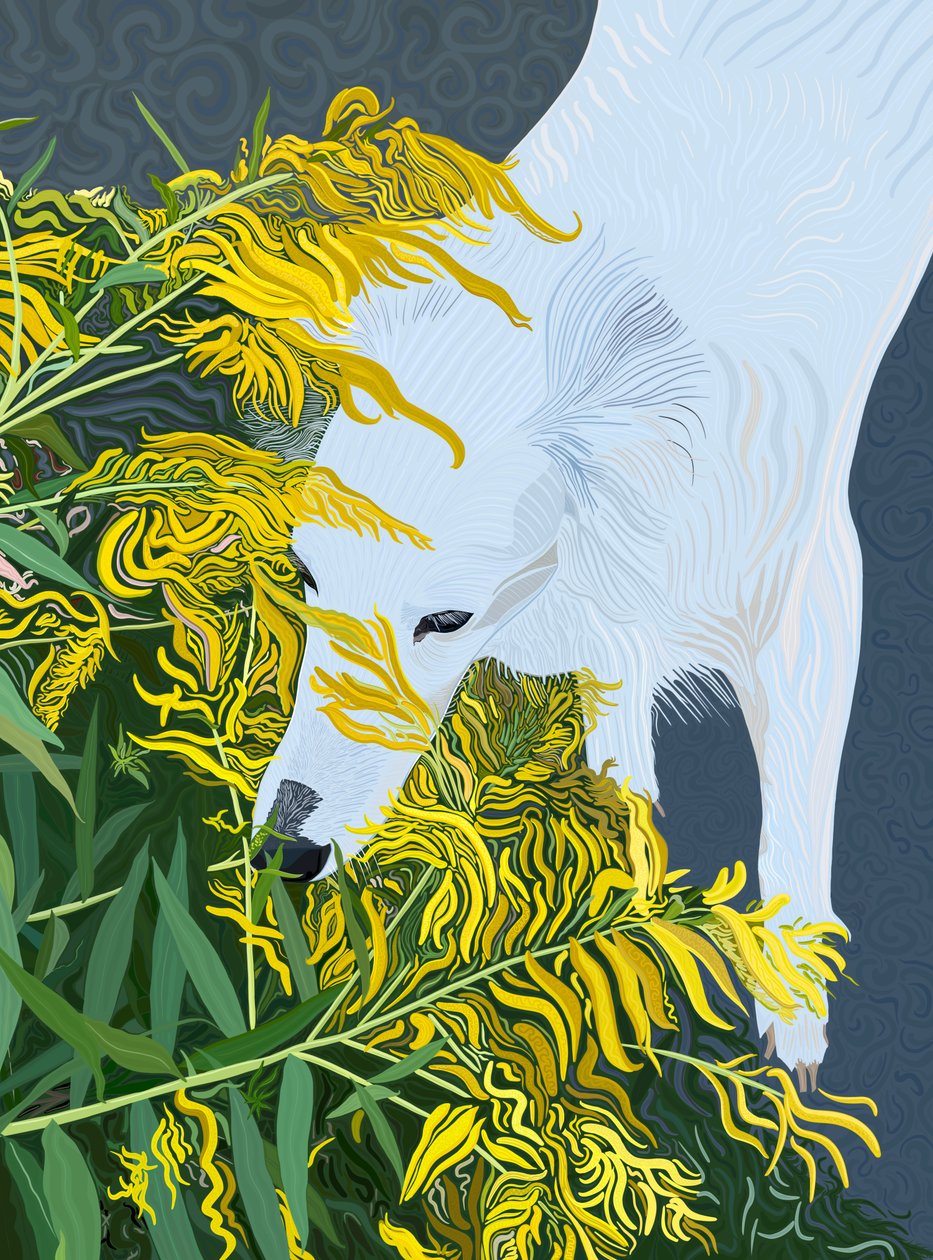 Goatdbeard White Dog och Goldenrod (digital konst) av Evan Sklar