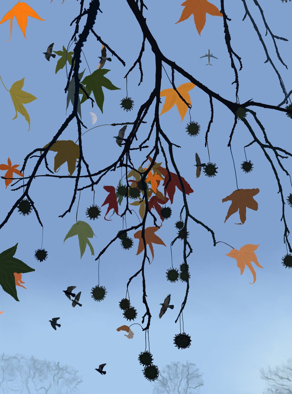 Gum Tree, Birds and Moon, Brooklyn (digital konst) av Evan Sklar