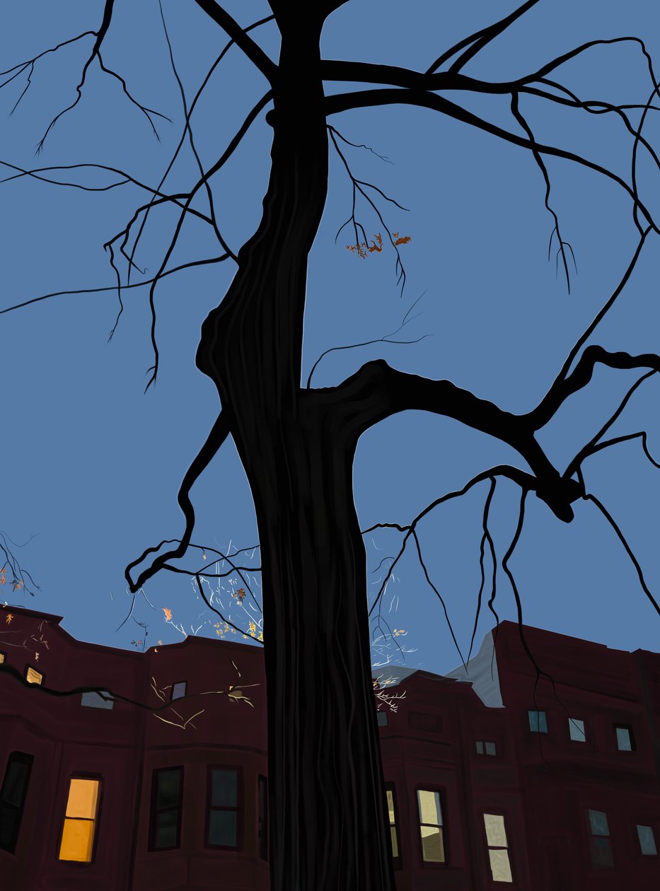 Hus och träd på natten, Brooklyn. (digital konst) av Evan Sklar