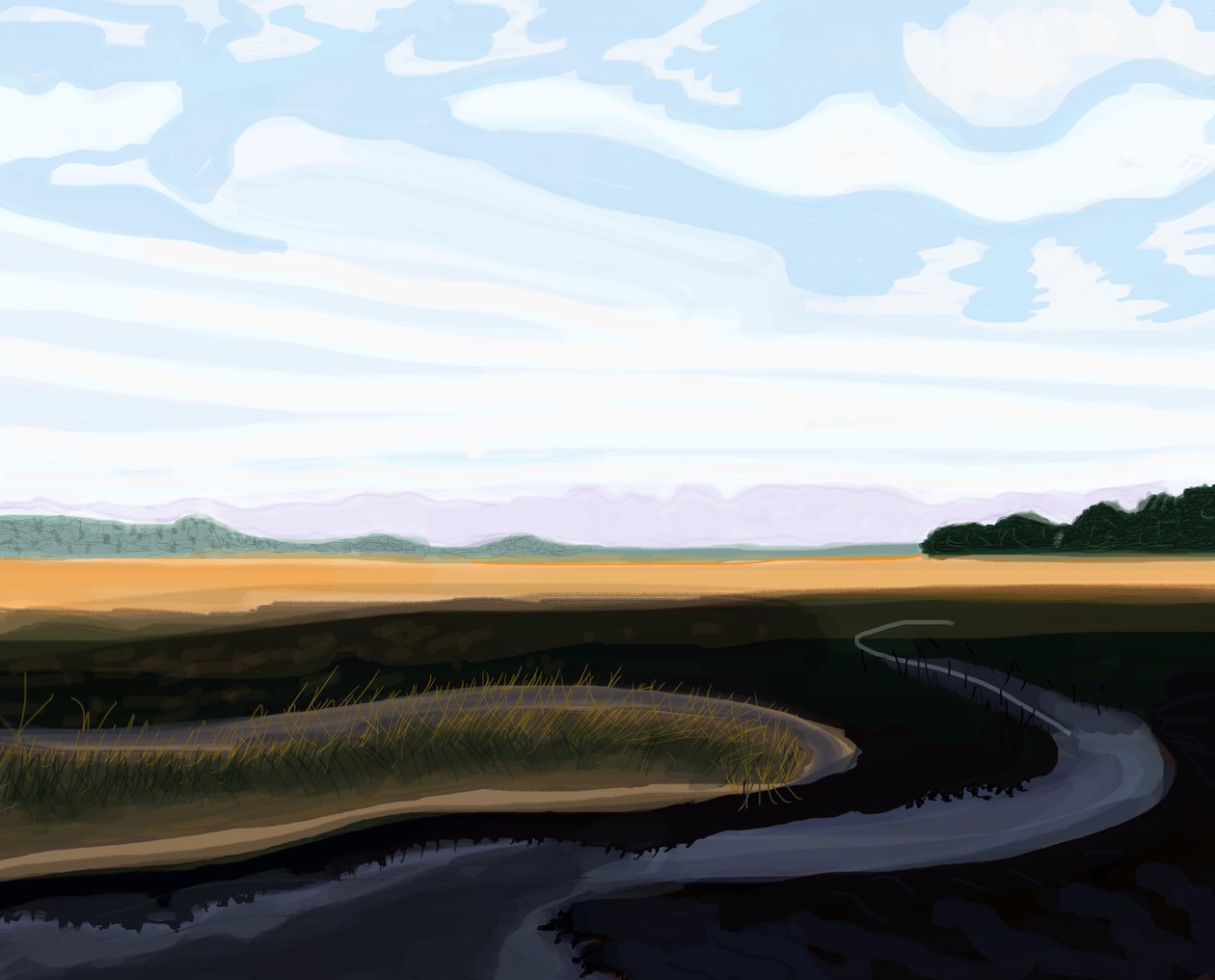 Low Country, 2016 (handritad på en iPad med en Apple-penna) av Evan Sklar