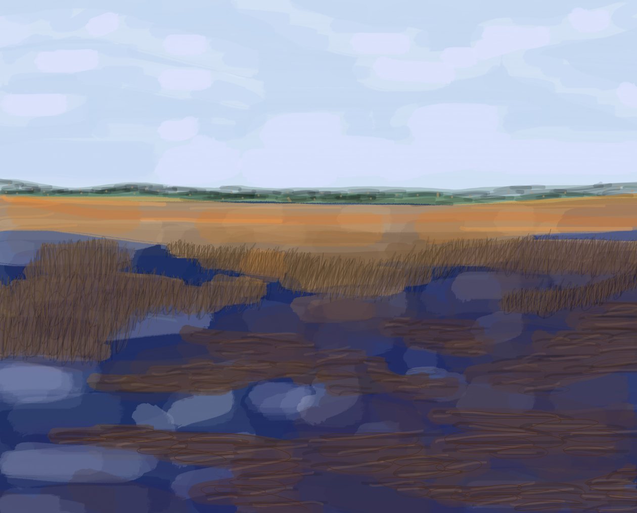 Low Country, 2016 (handritad på en iPad med en Apple-penna) av Evan Sklar