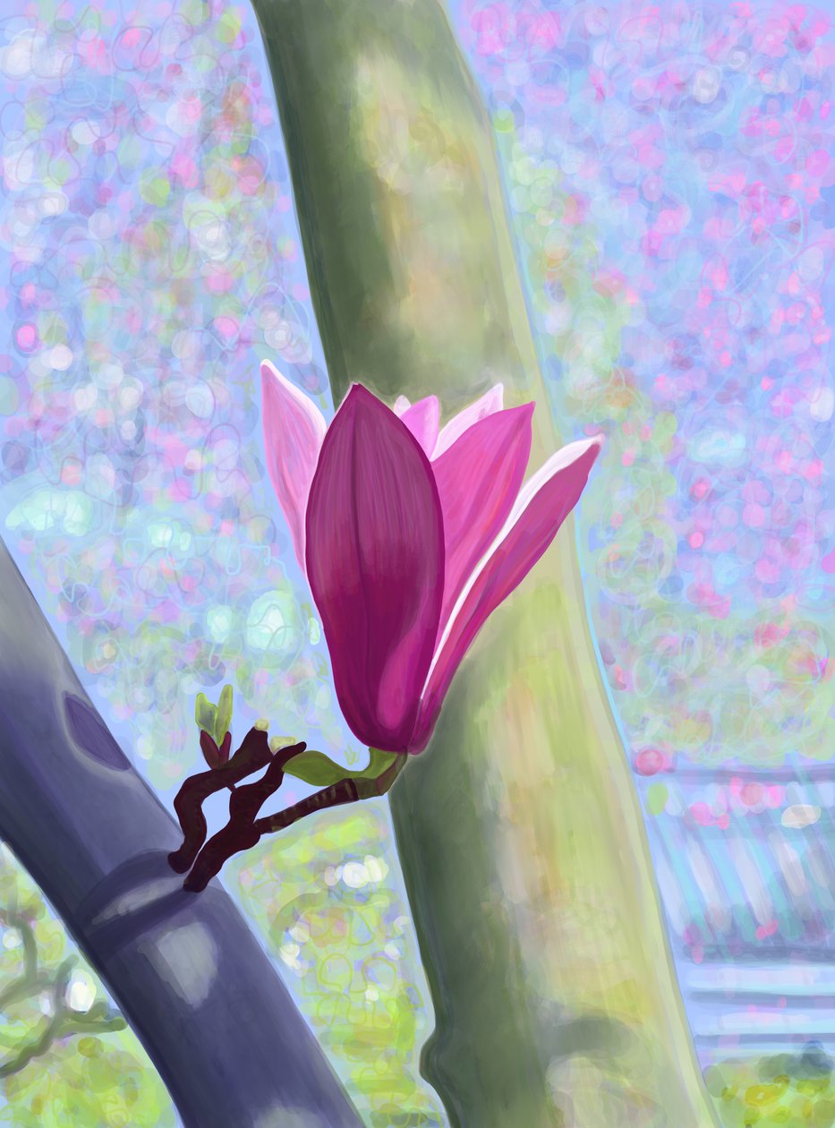 Magnolia Blossom (digital konst) av Evan Sklar
