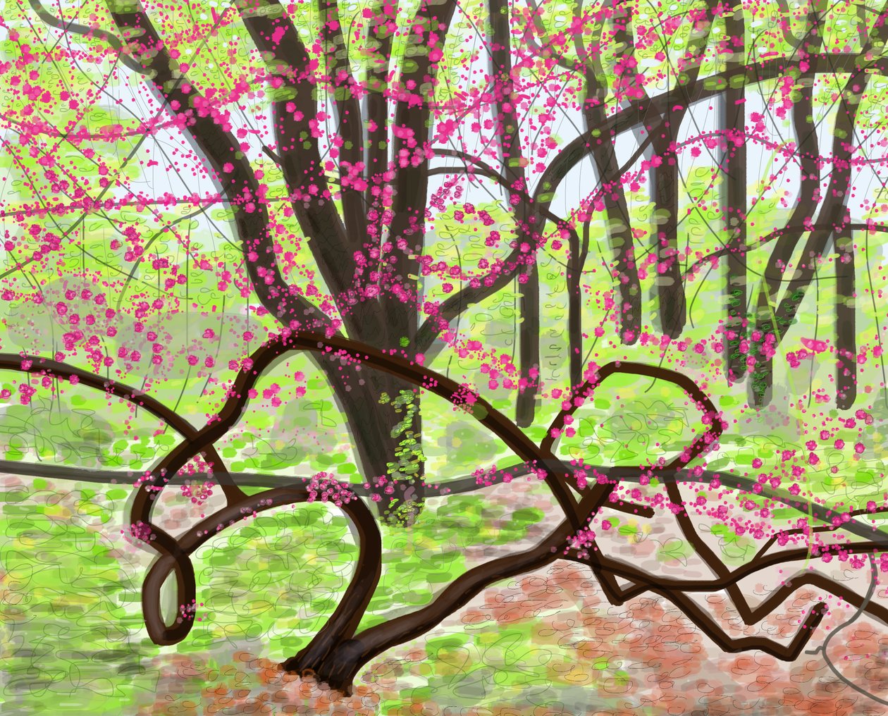 Prospect Park, våren 2017 (handritad på en iPad med en Apple-penna) av Evan Sklar