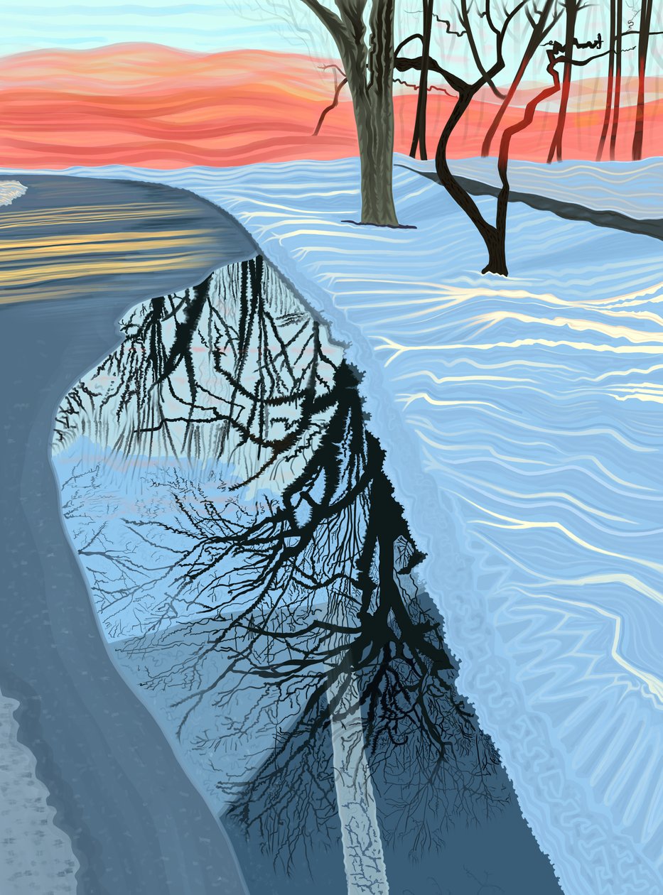 Pöl och snö i Park, Brooklyn (digital konst) av Evan Sklar