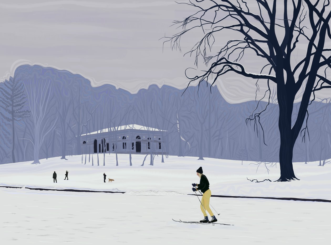Skidåkare, Prospect Park , Brooklyn (digital konst) av Evan Sklar