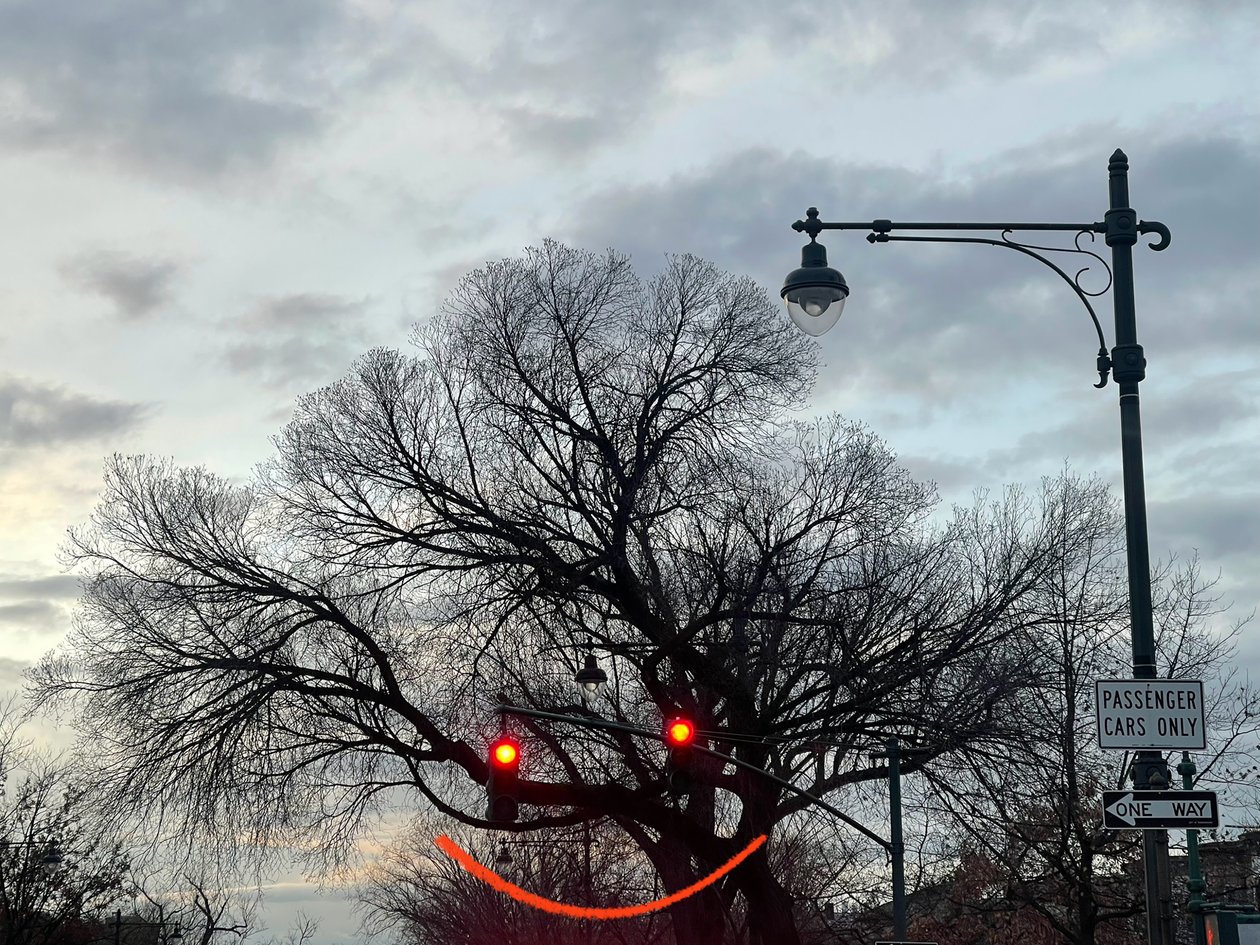 Leende träd och trafikljus. Brooklyn (digital konst) av Evan Sklar