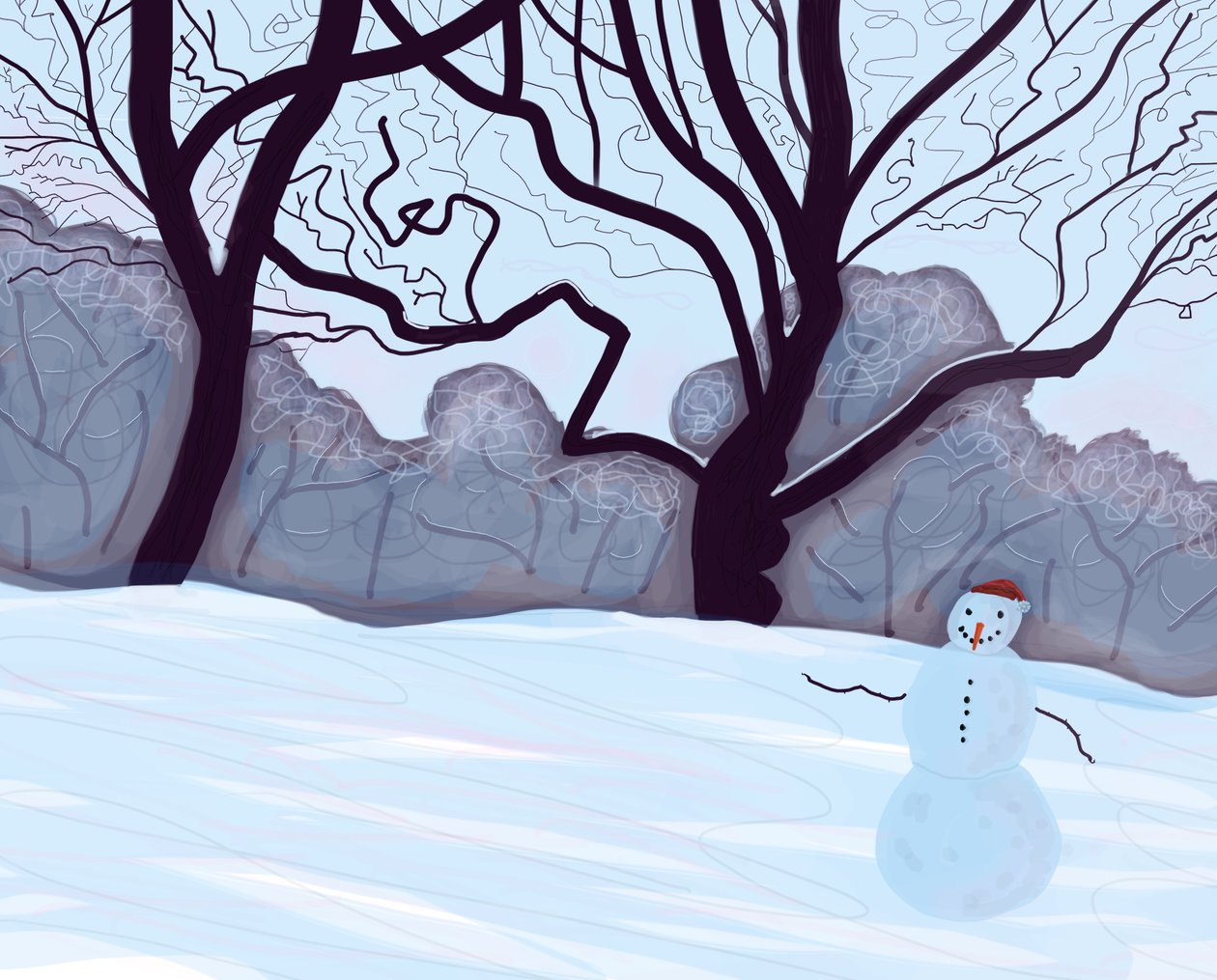 Snow Dude av Evan Sklar