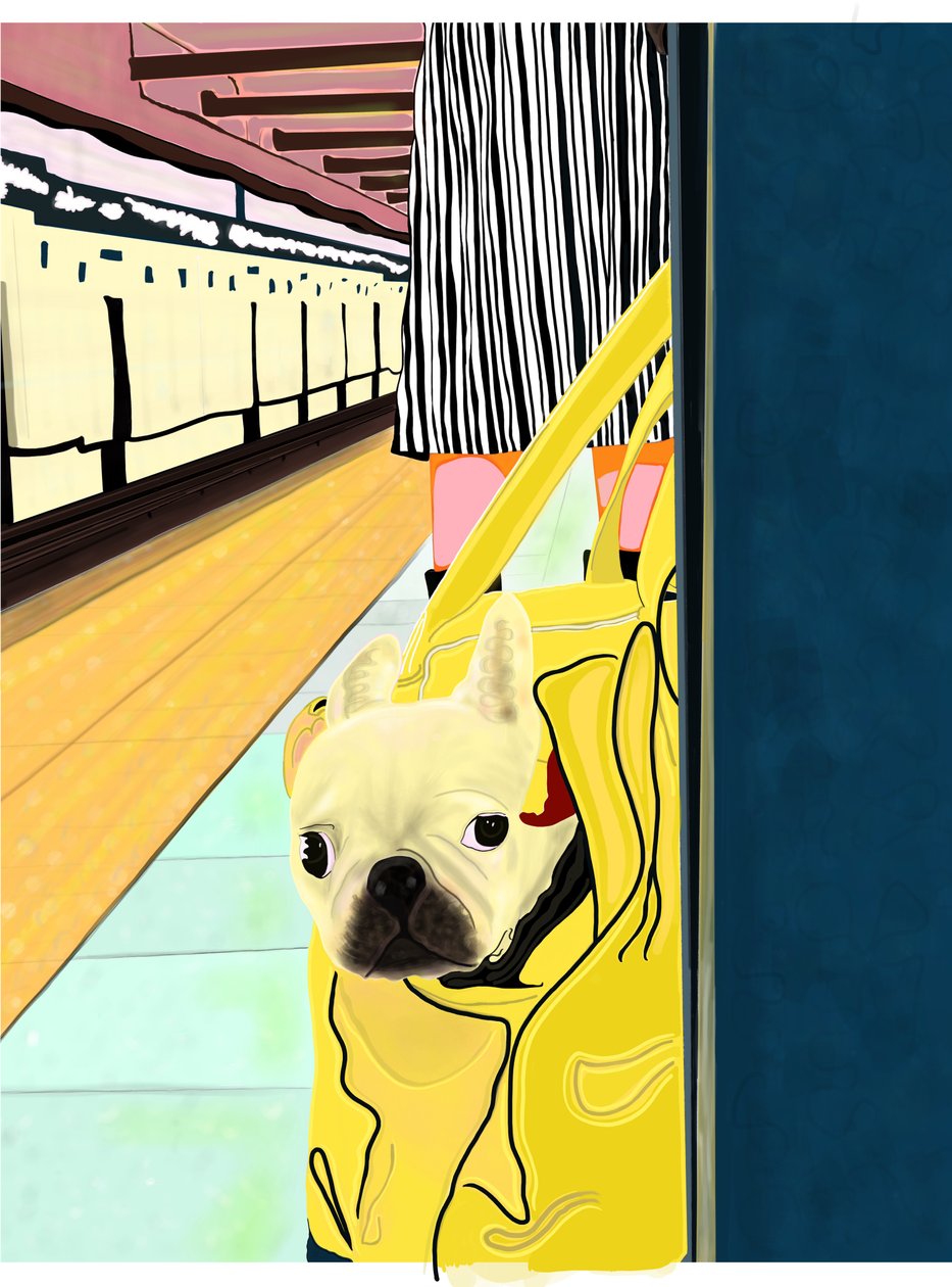 Tunnelbaneresenär med hund i väska, Brooklyn (digital konst) av Evan Sklar