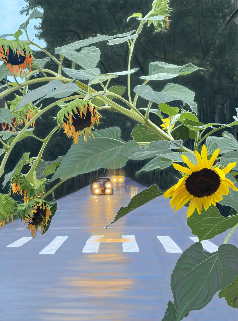 Solrosor och bilar på trädkantad gata i gryningen. (digital konst) av Evan Sklar