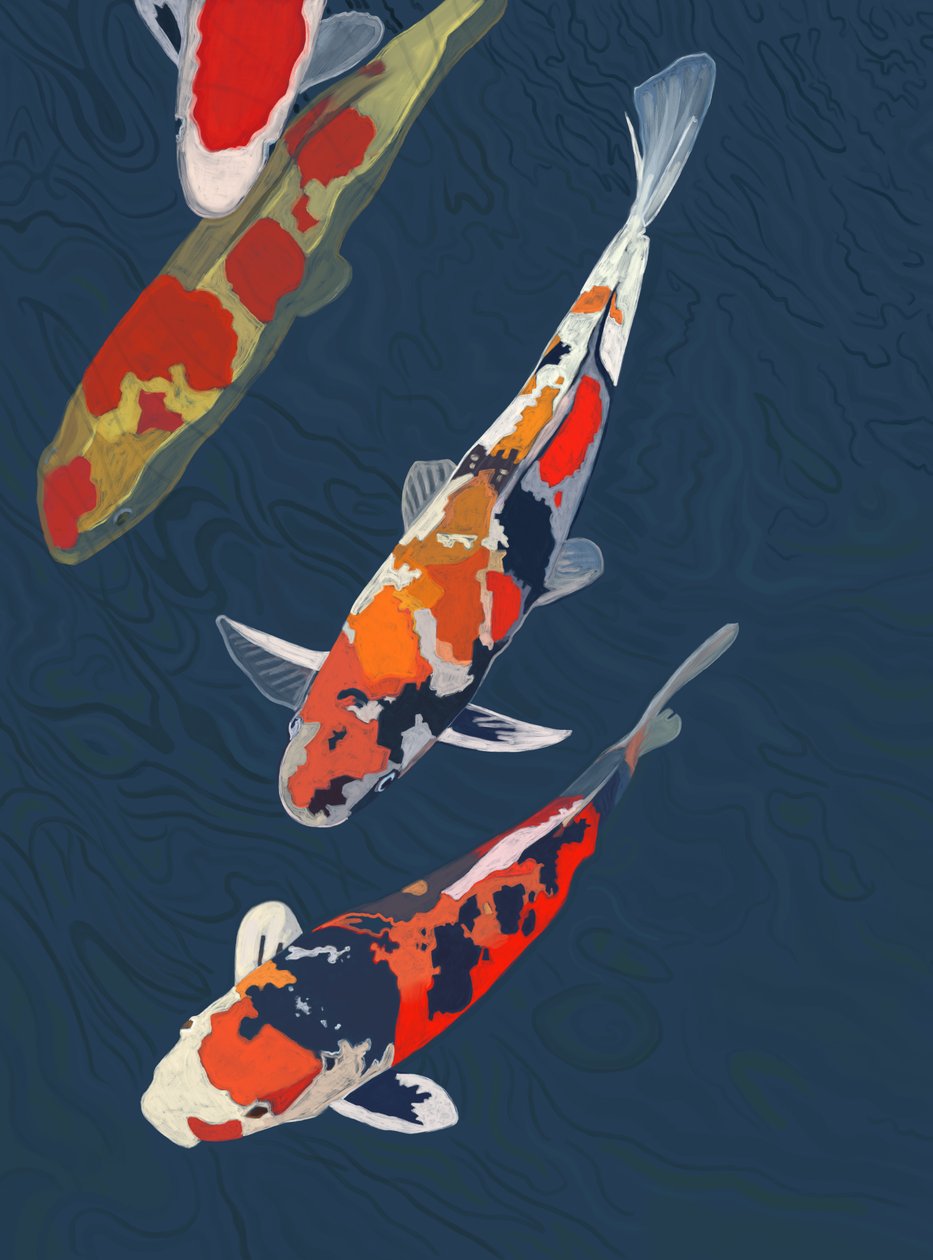 Tre Koi (digital konst) av Evan Sklar