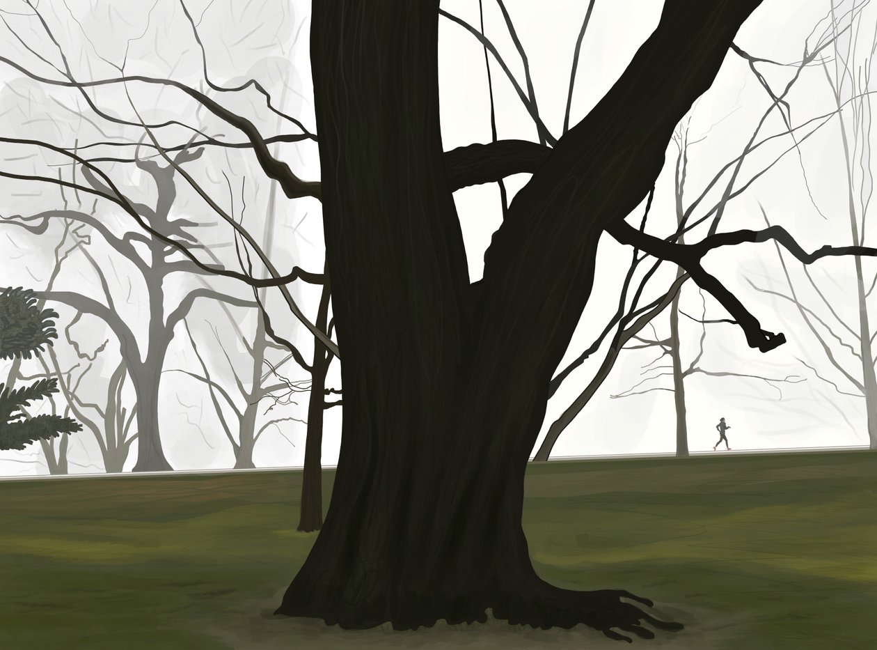 Träd och joggare. Tidig morgon. Prospect park (digital konst) av Evan Sklar