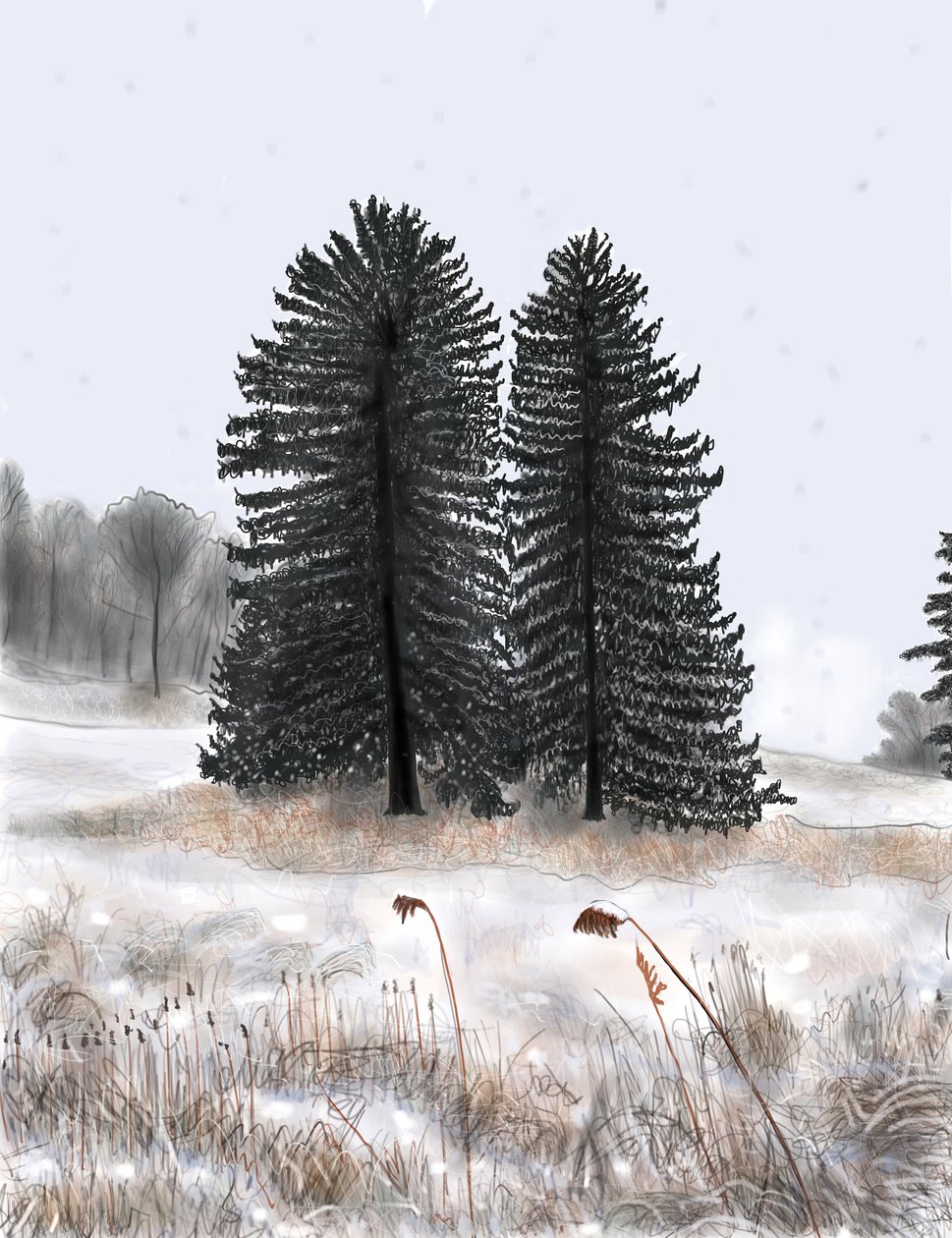 Wedded Pines av Evan Sklar