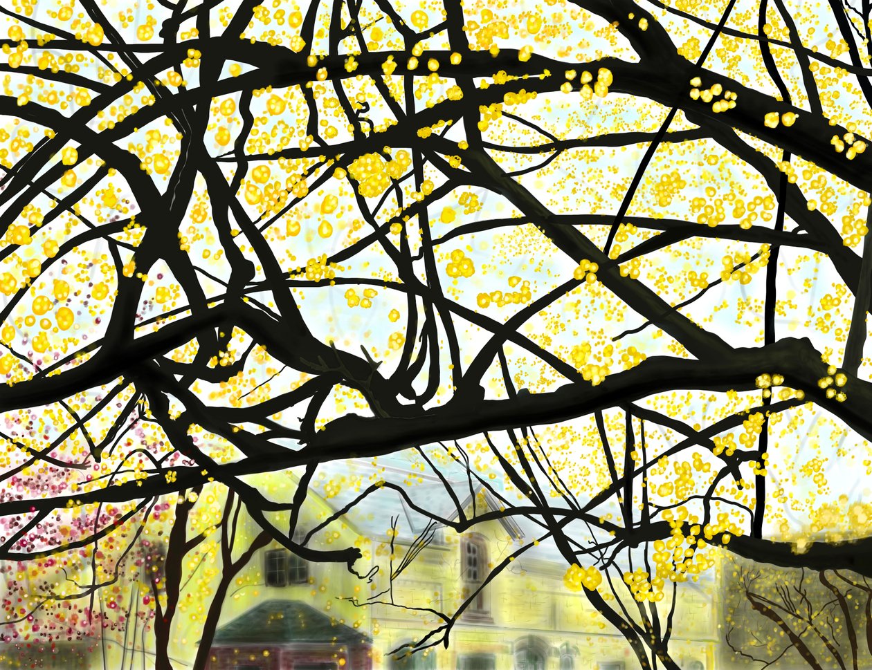Gult blommande träd, Brooklyn (digital konst) av Evan Sklar